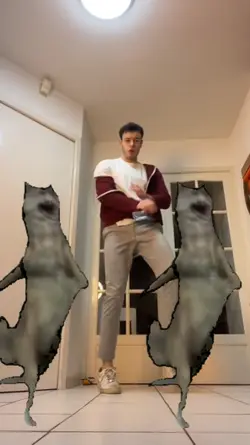 Dancing Wolf Meme