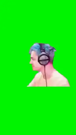 Ninja 