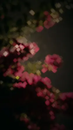 Şablon Viral
