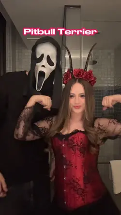 Pitbull Terrier!❤️❤️❤️
