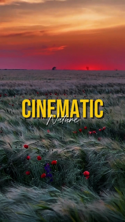 CINEMATIC NATURE