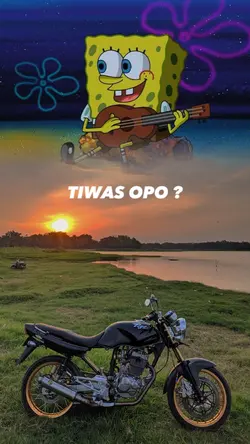 Spongebob_Nemen