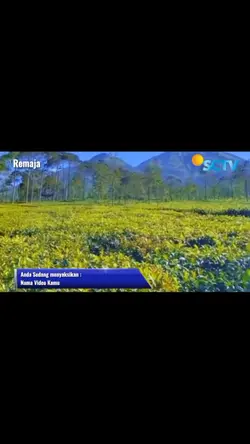 FtV Travel 