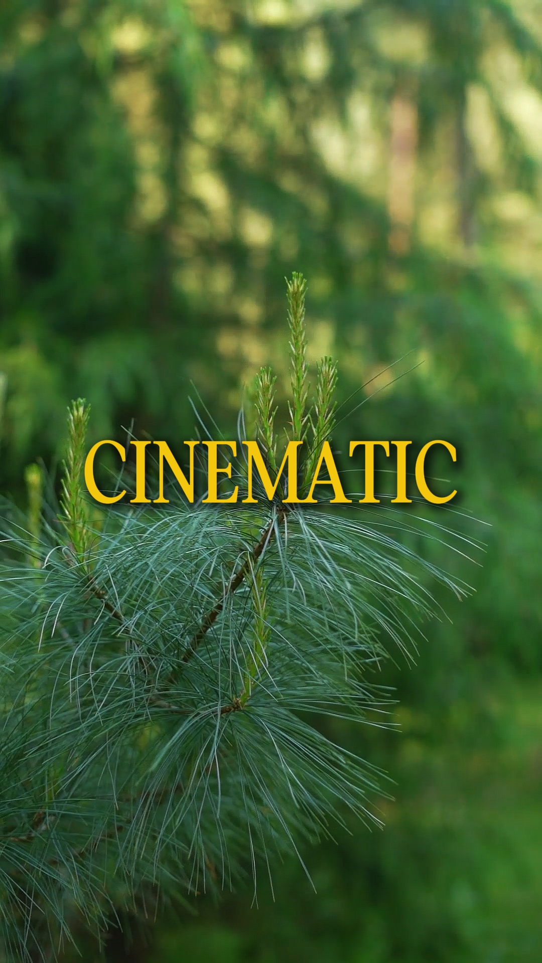 Cinematic 8 Videos