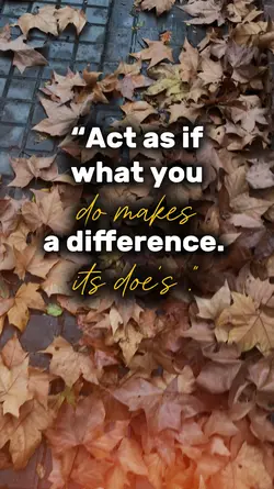 difference its does