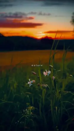 NATURE