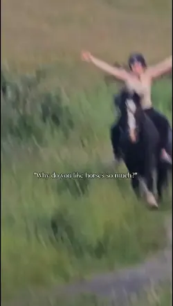 Horses!!