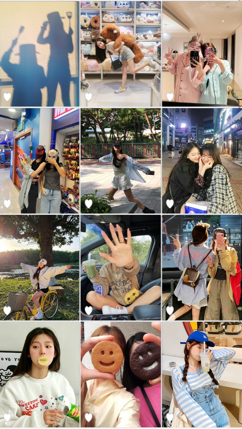 12 fotos 