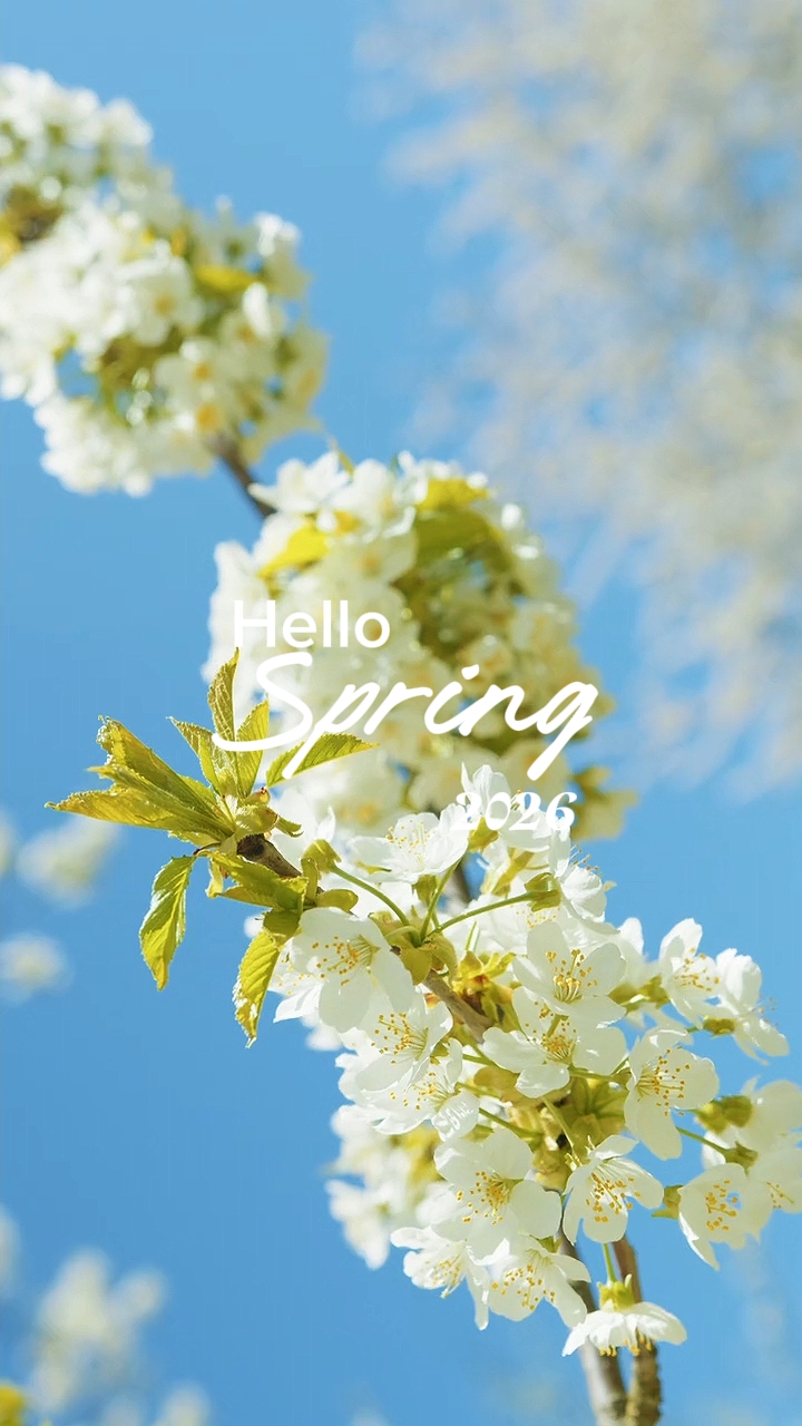 Hallo Frühling