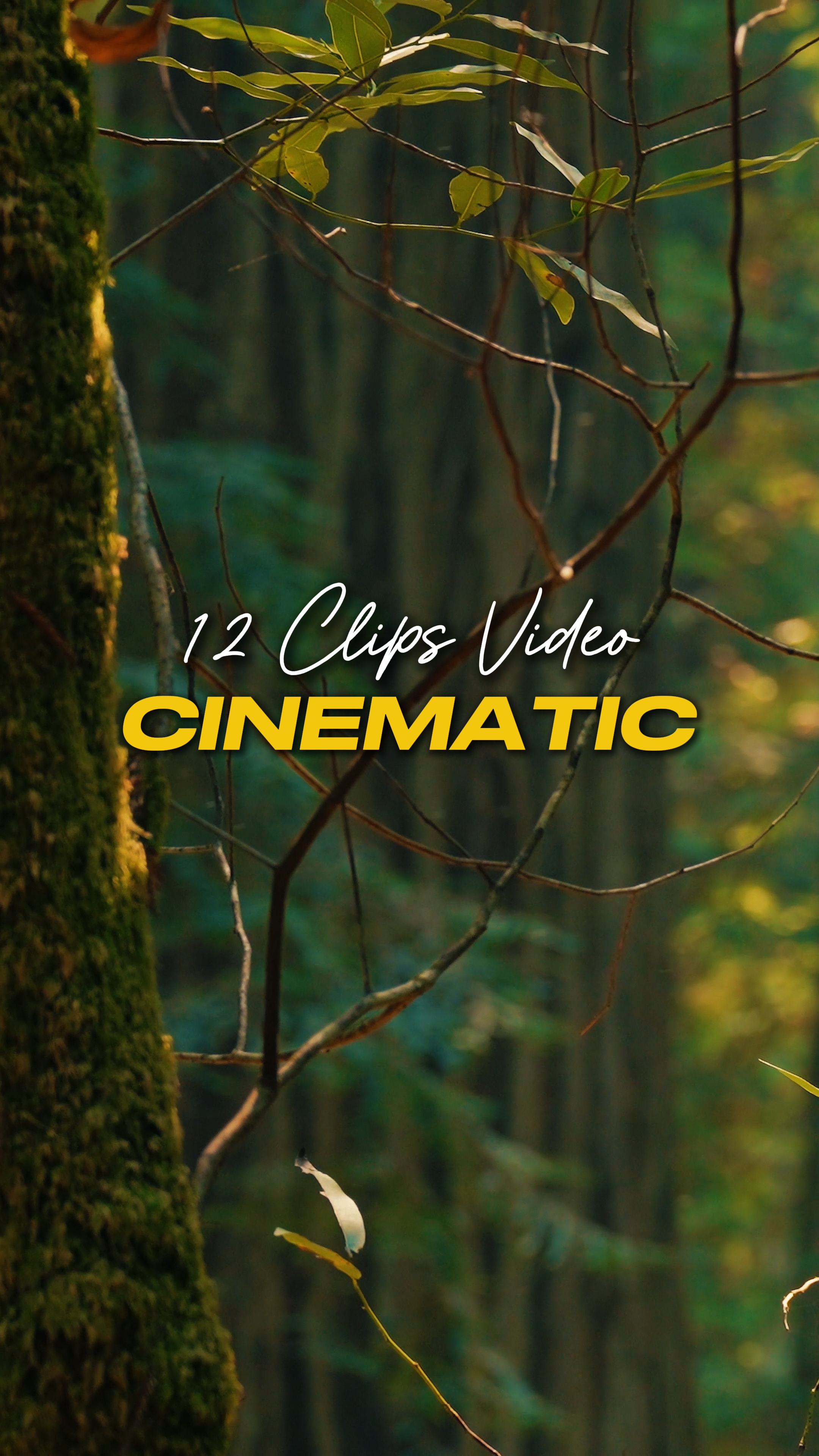 Cinematic 12 Video