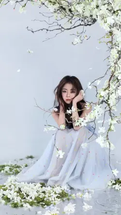 男人情女人心