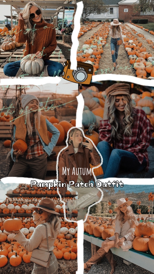 Parche de calabaza de otoño