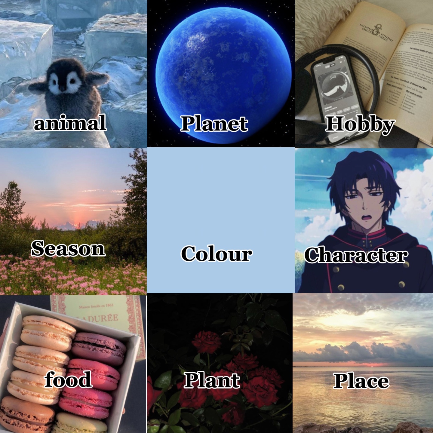 Cover Picture