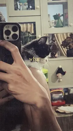 aesthetic