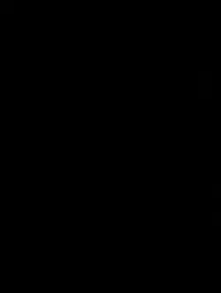 船