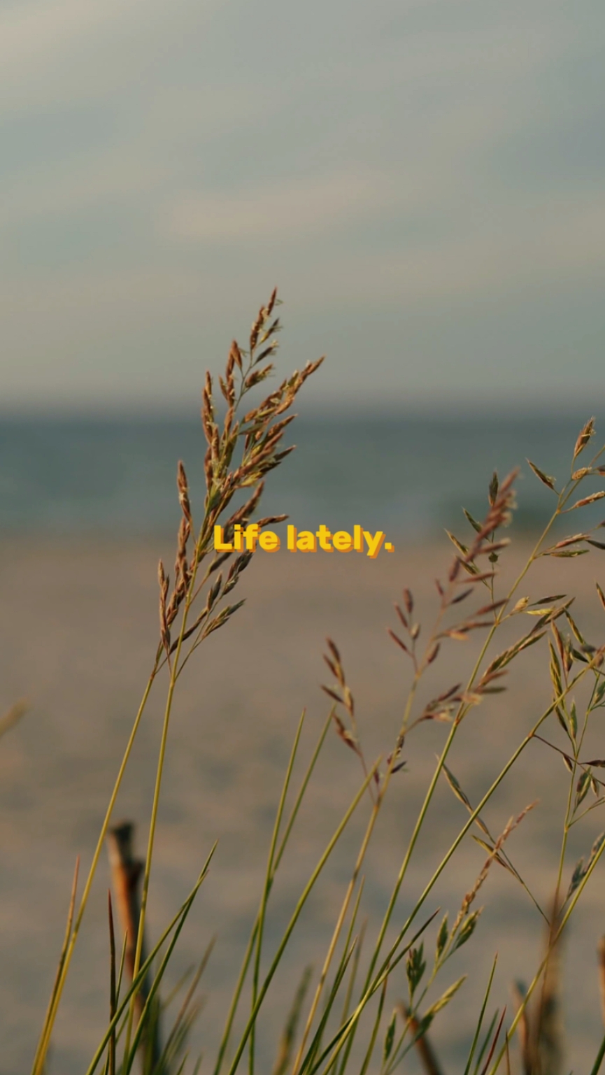 Life lately 