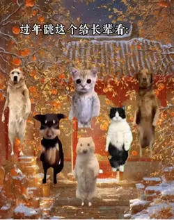 動物洗澡歌