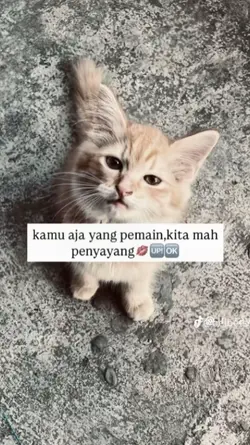 kita mah penyayang 
