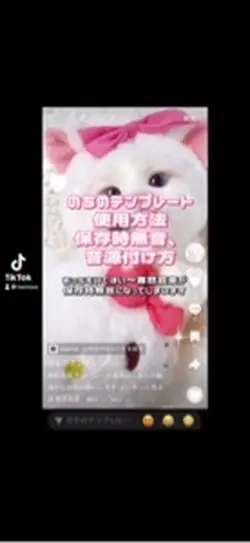 のちのテンプレ使用方法