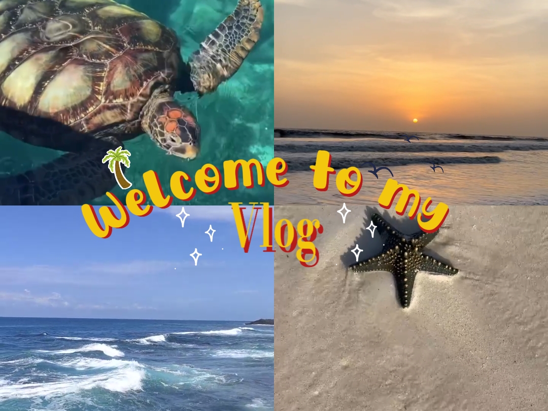 Opening Video Vlog