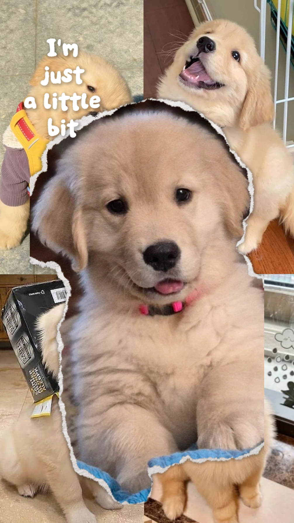 Bebé De Piel