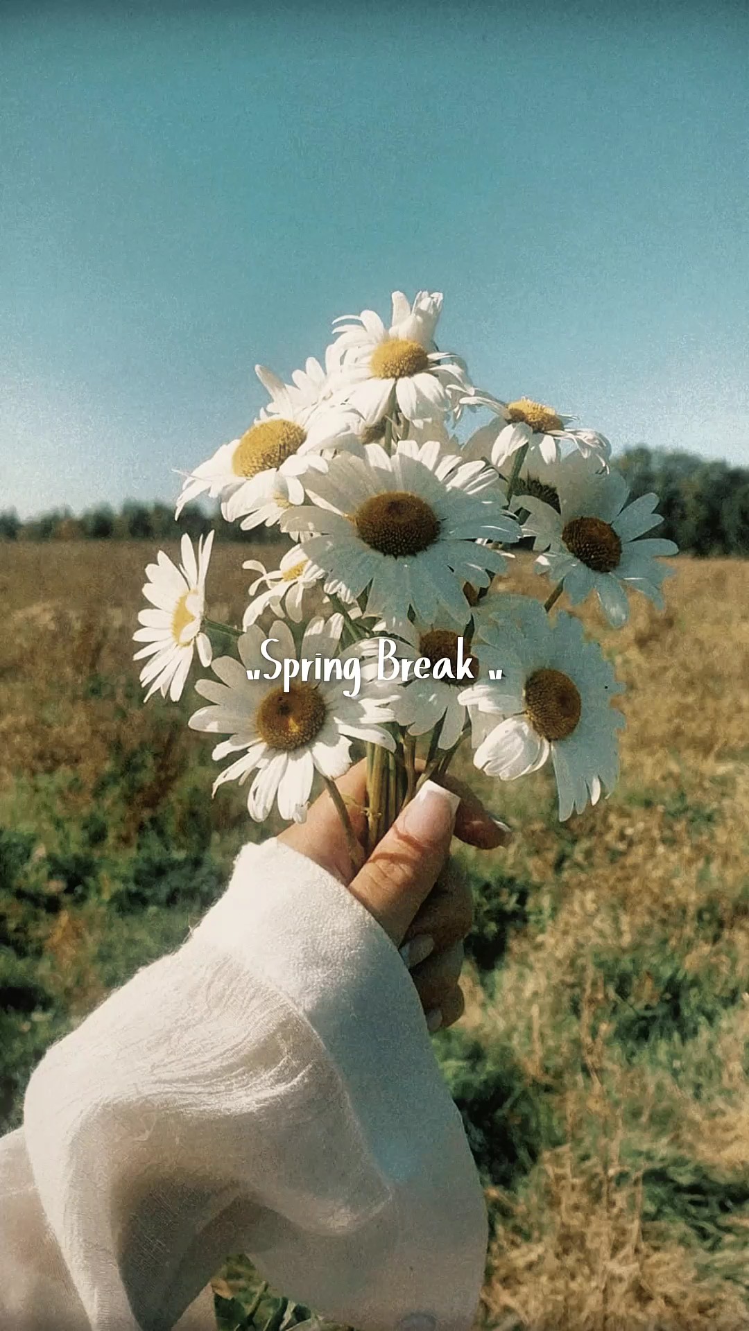 SPRING BREAK