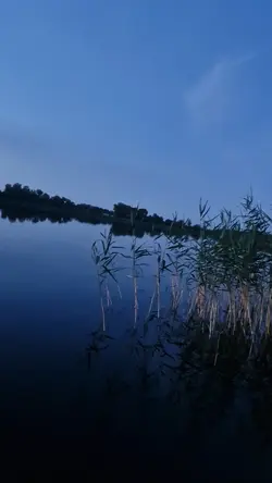 wycisz mózg