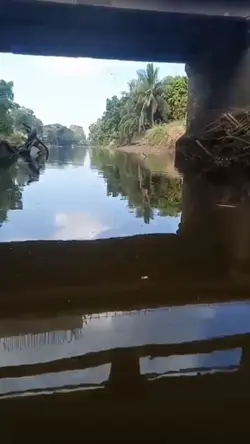 Crab hunting