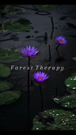 Forest Therapy 