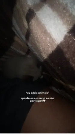 animais✈️