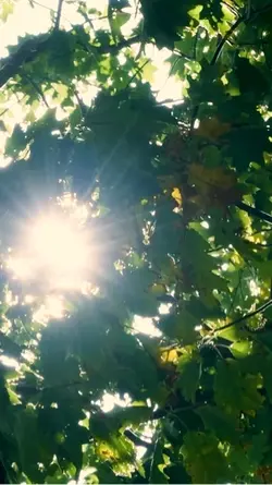 Luce Solare