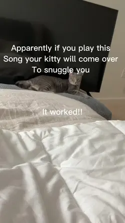 Kitty reveals!!
