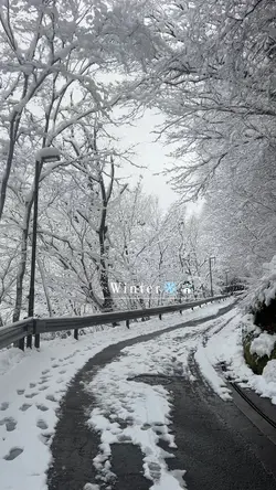 Winter