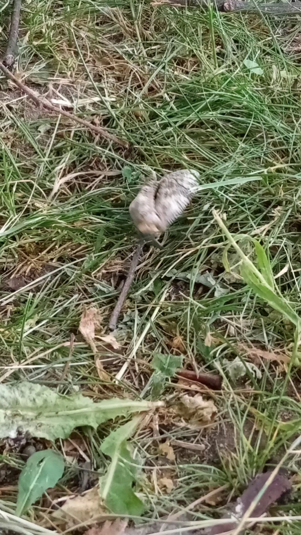 Zobaczymy co wyjdzie