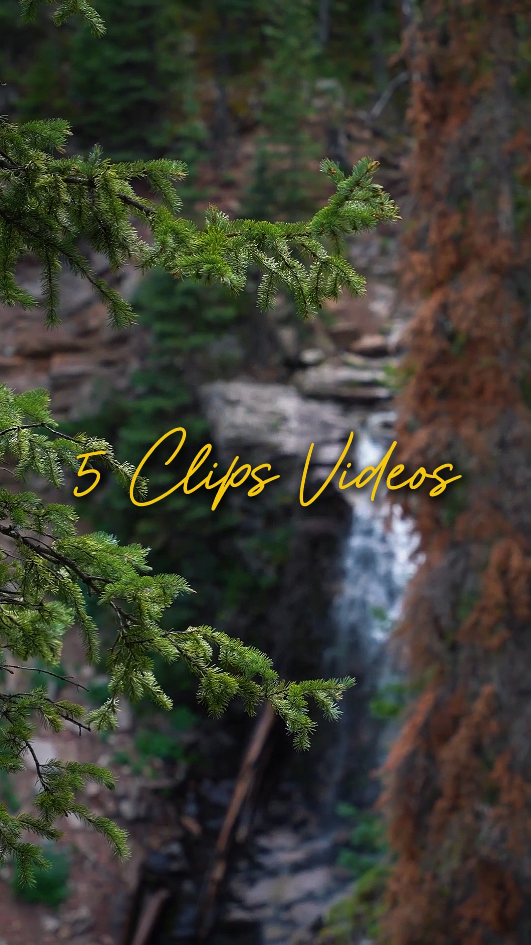 Cinematic 5 Videos