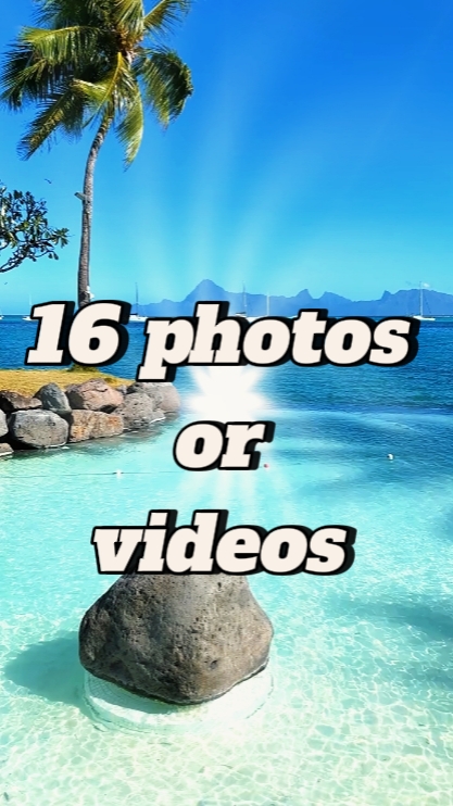 16 photos or videos 