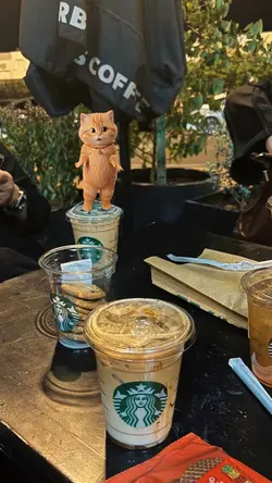 SPONGE DANCE CAT
