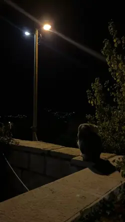 üzerek