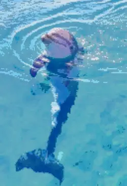 pixelate photo