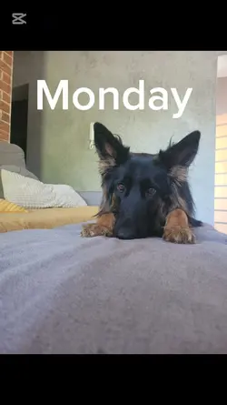 I have nothing to do