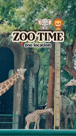 zoo time