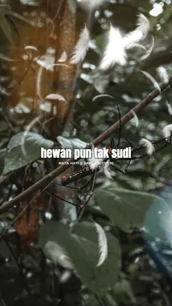 MATA HATI