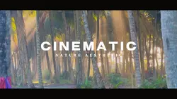 Cinematic Nature Aes