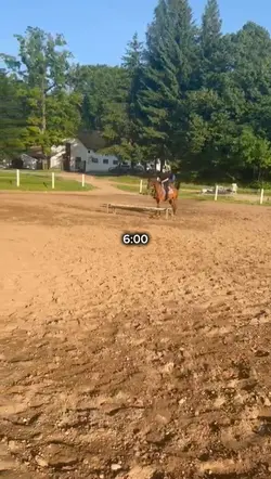 6:00 am