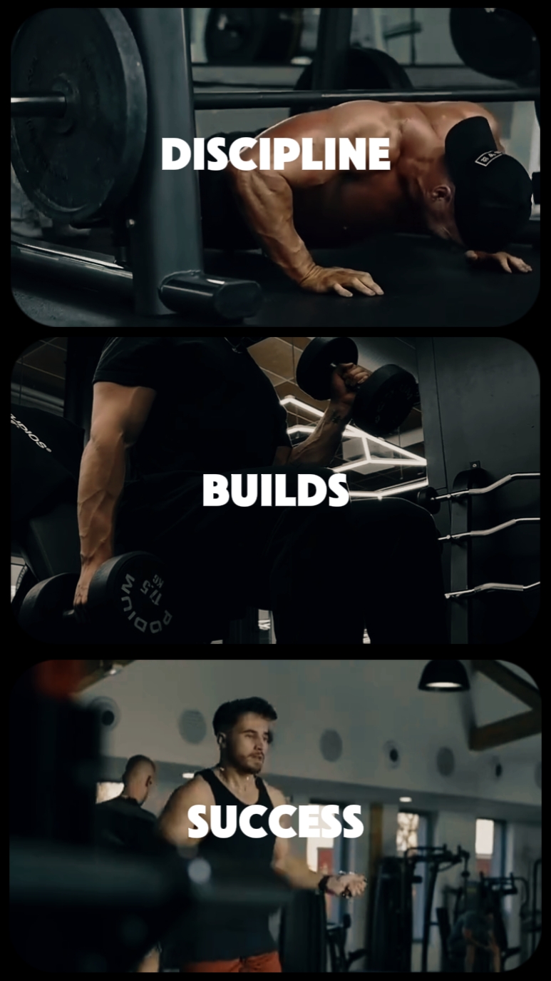 Discipline