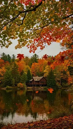 Autumn moment