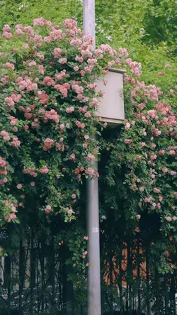 2 ảnh nhẹ nhàng 