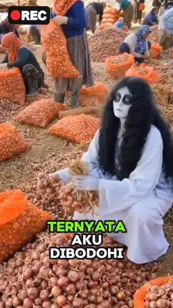 pengupas bawang