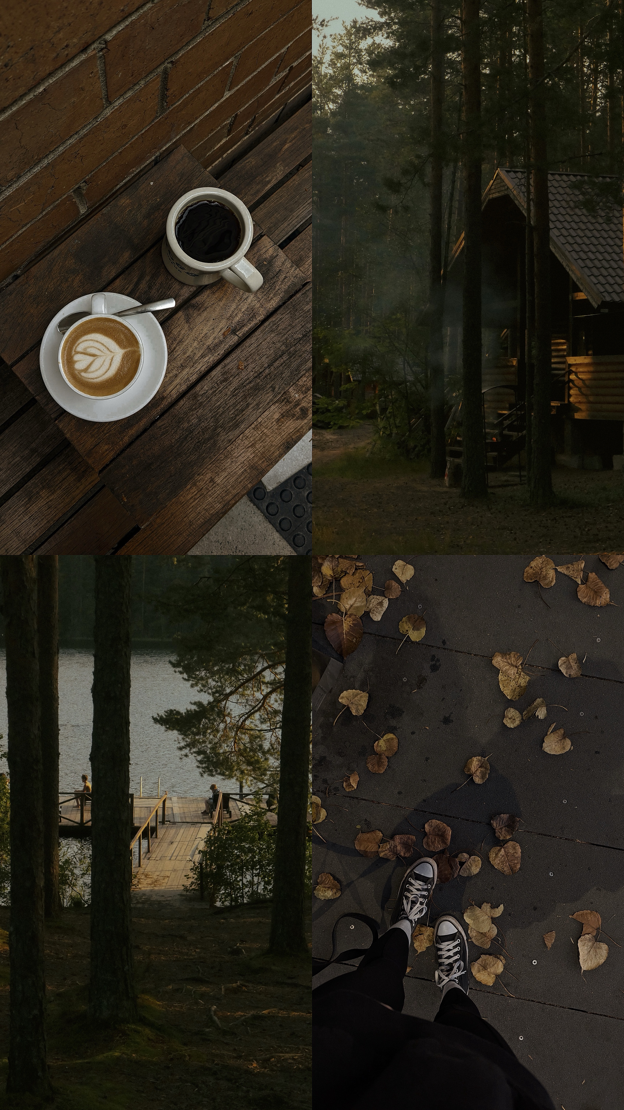 Autumn Mood 🍂