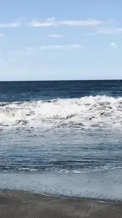 Peaceful Beach Vibes
